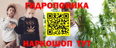 прущие крисы Будённовск