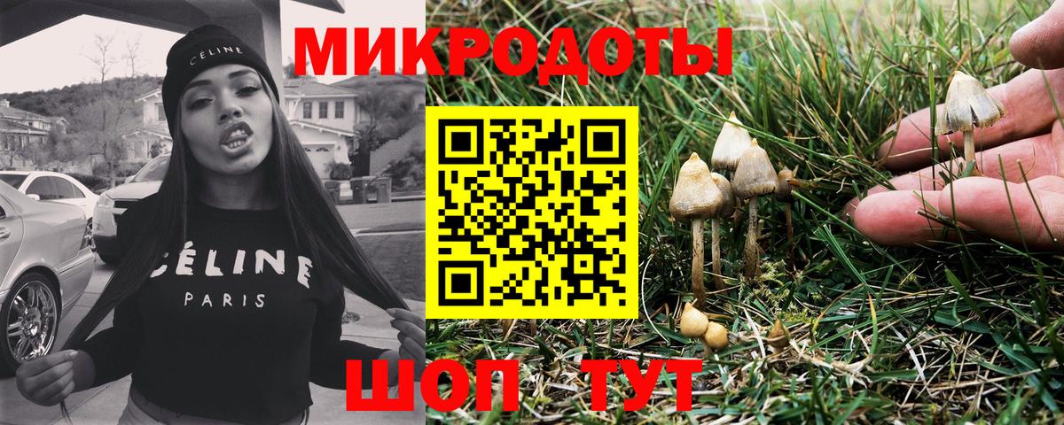 Псилоцибиновые грибы Magic Shrooms Рассказово