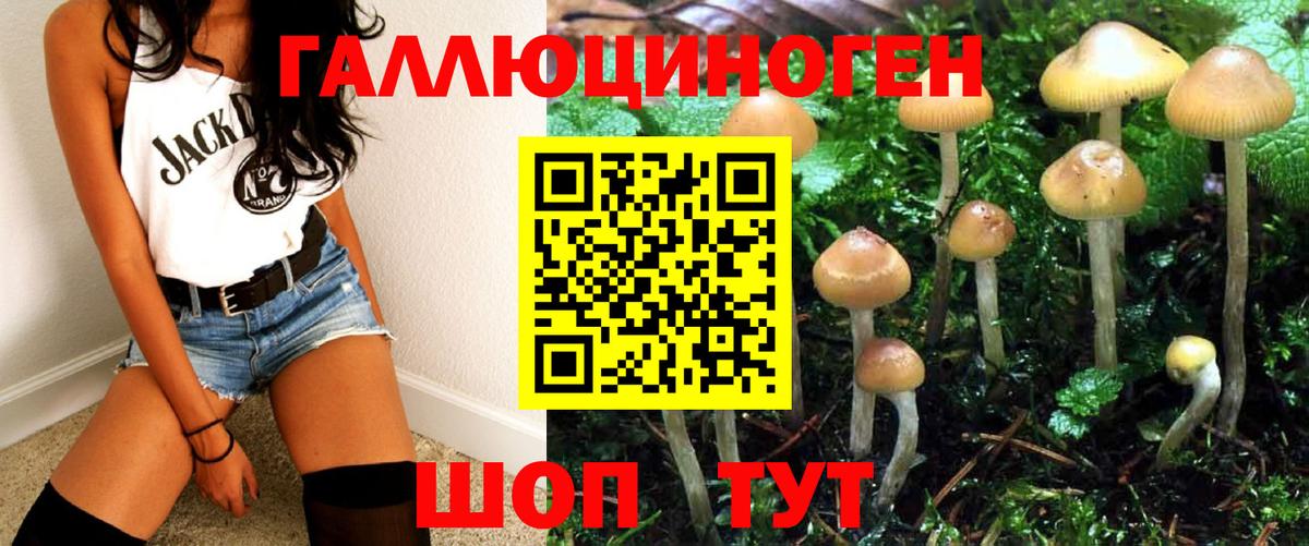 Псилоцибиновые грибы мухоморы  Галлюциногенные грибы Cubensis  Рассказово  Вход с VPN 